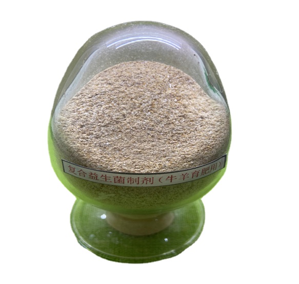 guanidin asam asetat prebiotik probiotik bubuk campuran probiotik hidup efektif 2 miliar untuk pakan ruminannya 0