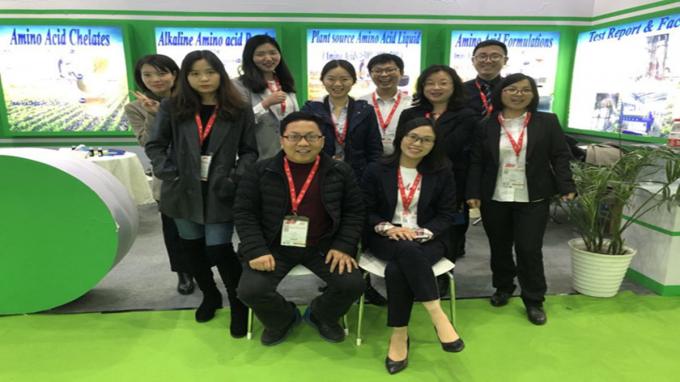 Bubuk Putih Pengasid Fumaric Citric Kalsium Format Laktik Asam Perut Hilir PH 14