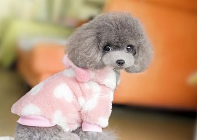 Suplemen Multivitamin Tablet Multifungsi Kucing dan Anjing Dukungan Kekebalan Alam dan Penghilang Alergi untuk Anjing 2