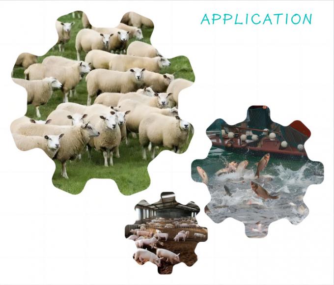 Aditif Pakan Nano Selenium Ragi 2000mg/kg untuk Ternak Unggas 1