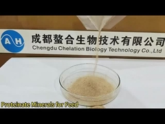 aditif pakan ternak unsur mikro proteinat mineral untuk unggas