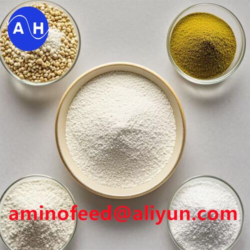 Latest company news about Fungsi mineral proteinat chelated peptida pada pakan unggas