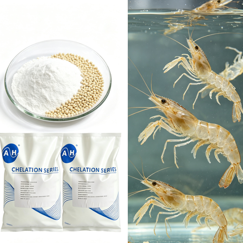 Latest company news about Mengelola Kebutuhan Trace Mineral dalam Pakan Akuakultur dengan Sumber Magnesium Organik